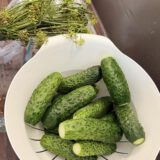 Ukrainische leichtgesalzene Gurken (Малосольні огірки)